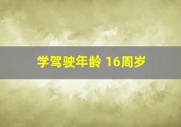 学驾驶年龄 16周岁